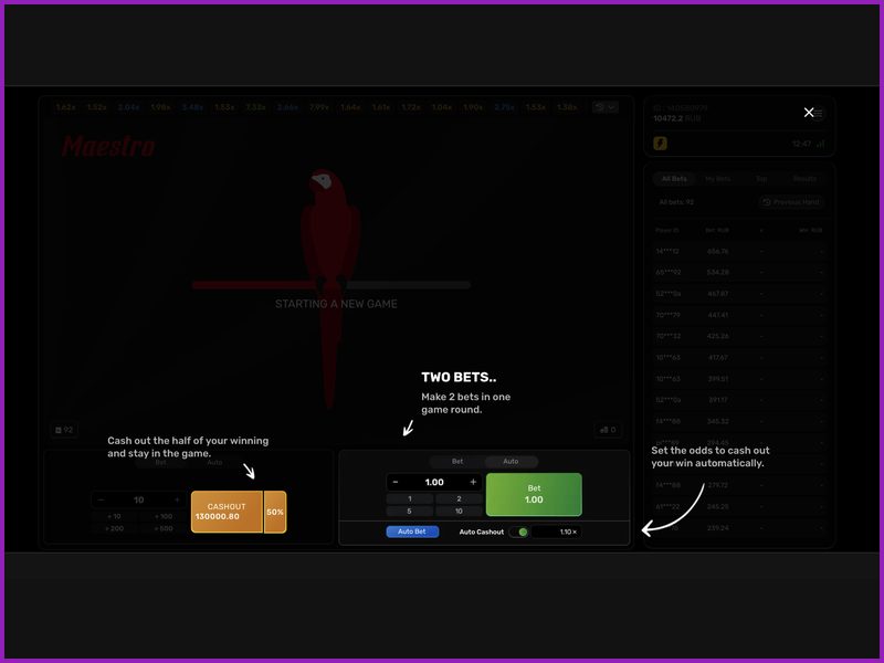 Принцип работы и механика crash-игры Maestro